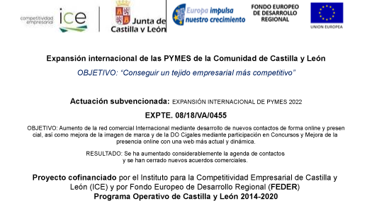 CARTEL-Expansión-internacional-de-las-PYMES-de-la-Comunidad-de-Castilla-y-León-expte-384